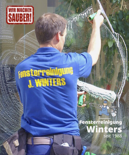fensterputzer-lauf-mit-blaues-polo-reinigt-glas-in-privathaus.