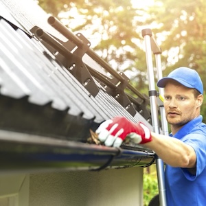 Dachrinnenreinigung-in-Lauf-an-der-Pegnitz-2026