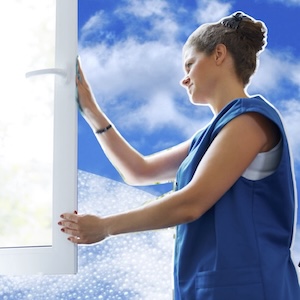 fensterputzen-mit-rahmen-in-privathaushalte-lauf-an-der-pegnitz